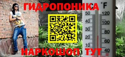 хмурый Канаш