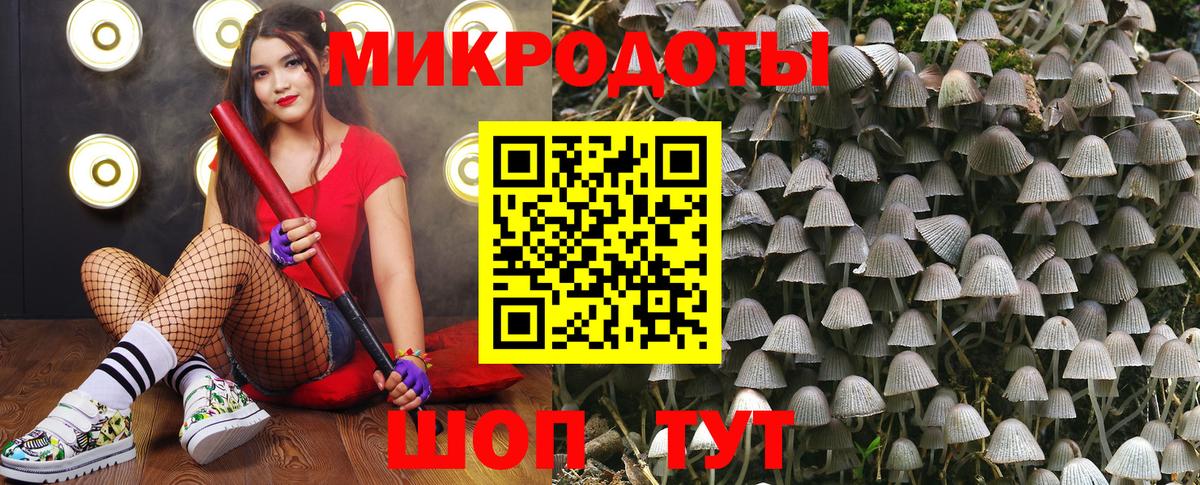 Галлюциногенные грибы ЛСД Куйбышев
